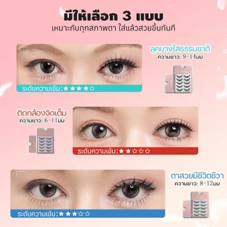LASHSABAI ซีรีส์เกิร์ลกรุ๊ปเกาหลี ขนตาก้านแข็ง 5 คู่ ช่วยสร้างร่องตา สไตล์เกาหลีแท้ ธรรมชาติ กันน้ำ ใส่สบาย S101-109