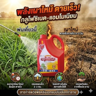ยาฆ่าหญ้า ยากำจัดวัชพืช(พรีเมียม)กลูโฟซิเนต แอมโมเนีย น้ำสีฟ้ามังกรแดง(เห็นผลไวกว่า)ขนาด4ลิตร(1แกลลอน)
