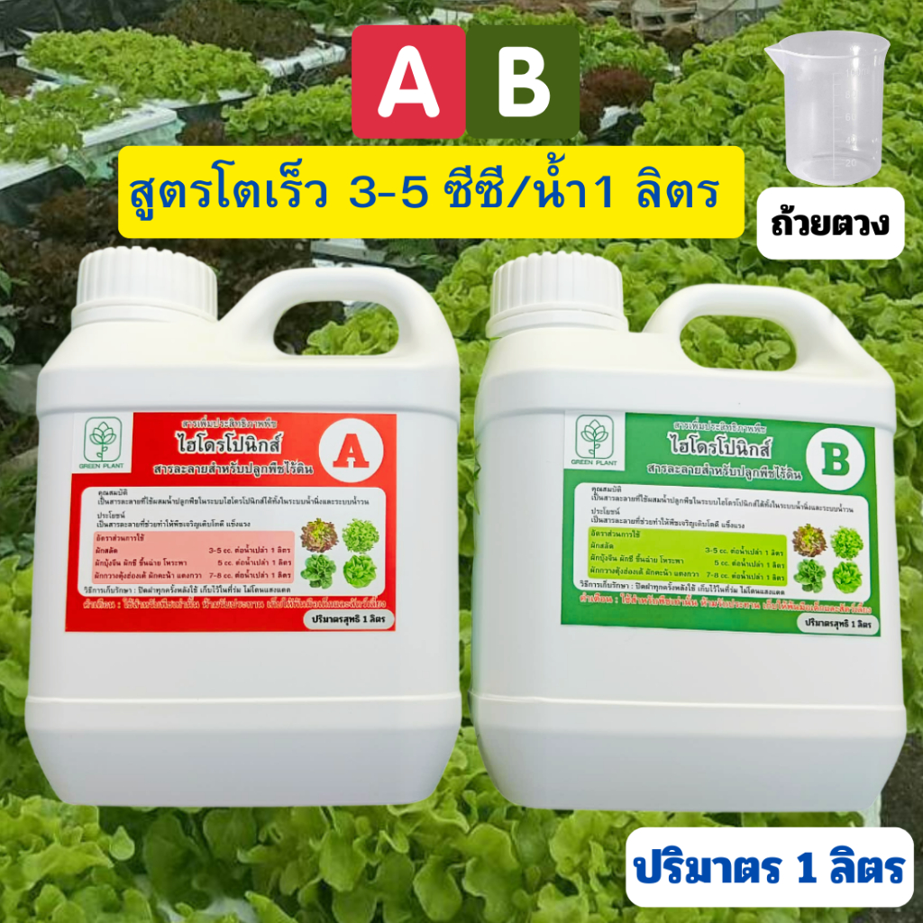 สารละลายAB สูตรพิเศษ โตเร็ว 1 ลิตร ยอดขายอันดับ 1 (A 1 ลิตร  B 1 ลิตร) ถ้วยตวง เมล็ดผัก ไฮโดรโปนิกส์