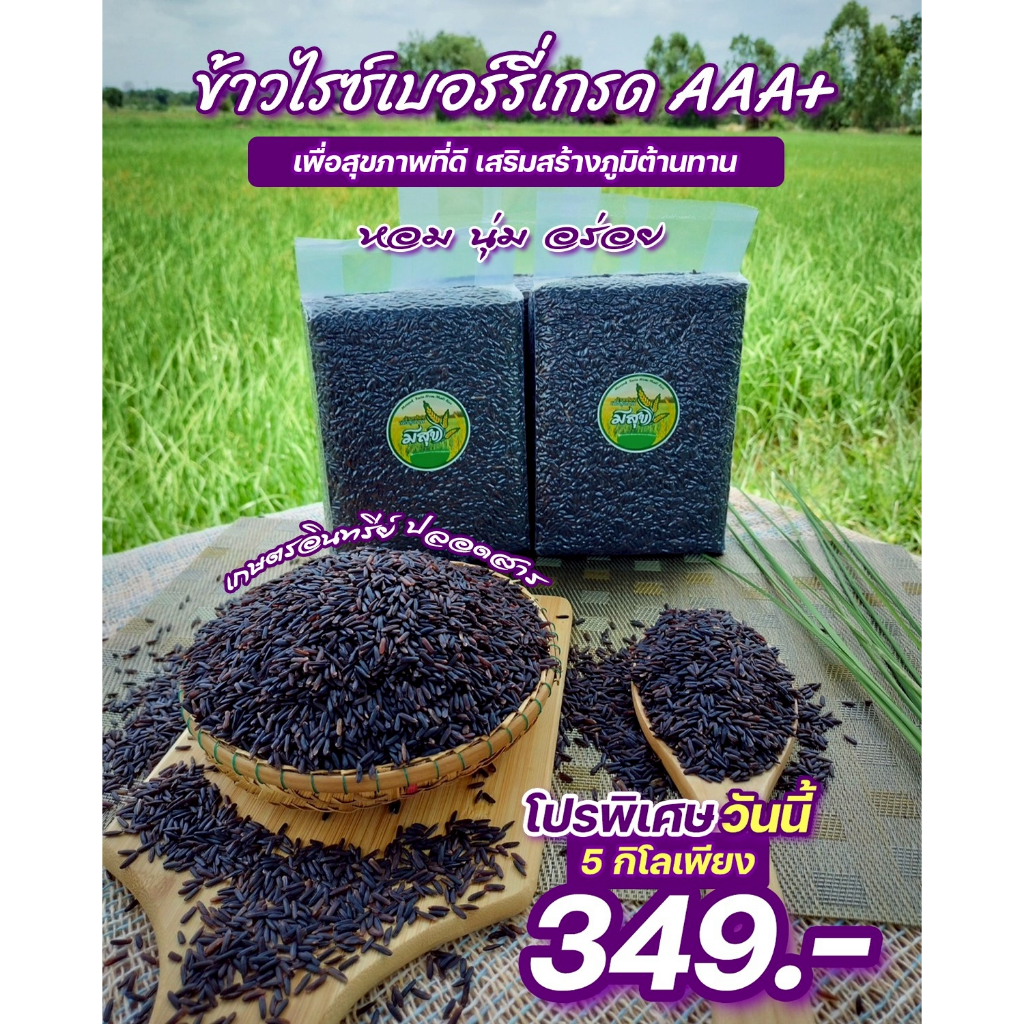 ข้าวไรซ์เบอร์รี่ ตรามีสุข ข้าวกล้อง ทานดีเพื่อสุขภาพ (ซีลสูญญากาศ 1 กิโล 5 ถุง)