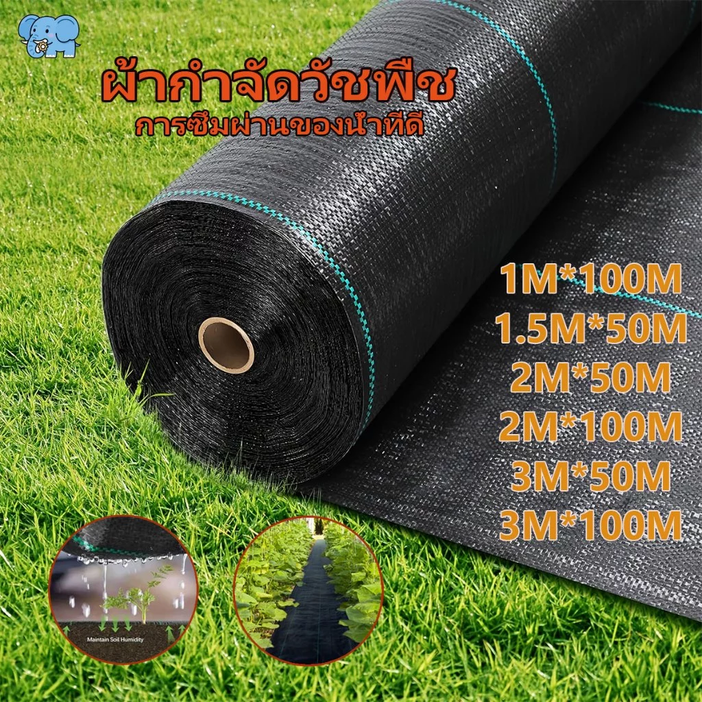 พลาสติกคลุมดิน ผ้าคลุมดิน พลาสติกคลุมหญ้า พลาสติกคลุมวัชพืชผสมUV ผ้าคลุมดิน แข็งแรง ทนทาน กันหญ้าขึ้น