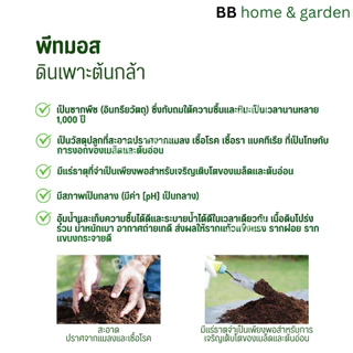 พีทมอส วัสดุเพาะเมล็ดและต้นกล้า 5ลิตร ตราเจียไต๋ (peat moss) ขนาด 5 ลิตร