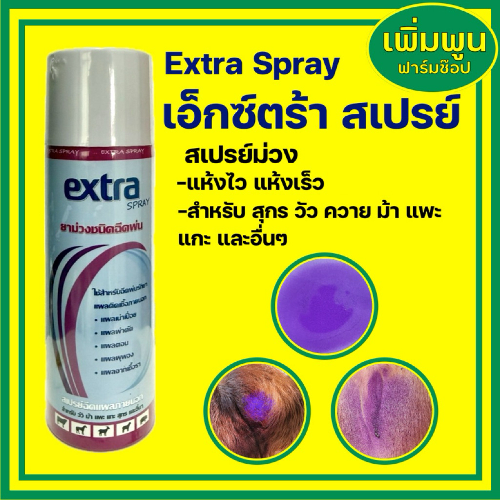 เอ็กซ์ตร้า สเปรย์ Extra spray สเปรย์ม่วง (200กรัม)