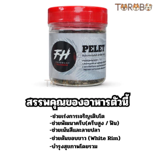 อาหารเม็ด (Pelet) สำหรับ Auranti Fin สูง (Highfin Auranti) แนะนำให้สลับให้อาหารกับกบปั่น ช่วยเน้นขอบสีขาว