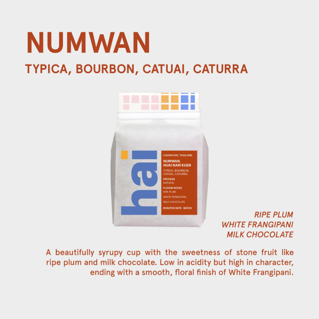 Hai single origin (กาแฟคั่วอ่อน) Numwan, Huai Num Kuen, Chiang Rai, Thailand (Light roast) Natural Process