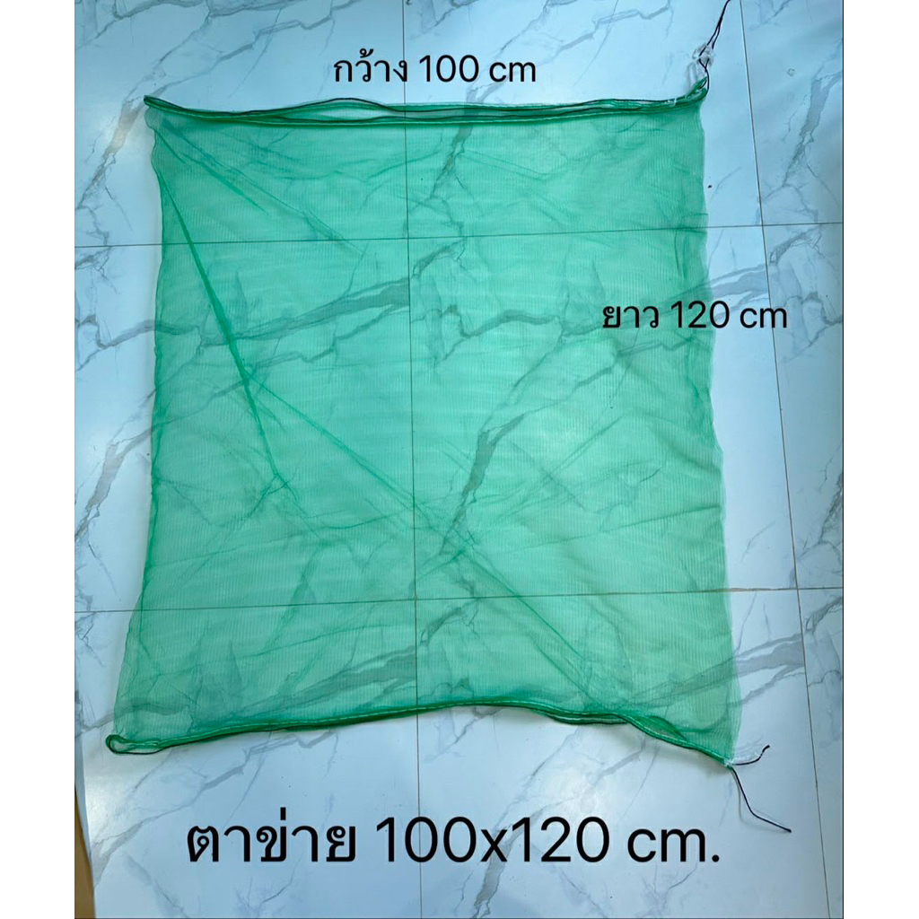 ถุงตาข่าย 100x120 สำหรับอินผาลัม
