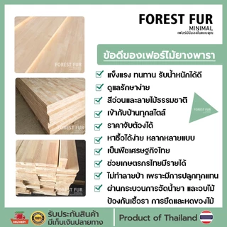 ForestFurชั้นวางถ้วยตีมัทฉะแบบกั้นเต็ม