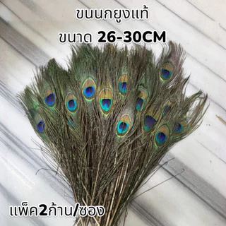 ขนนกเส้น ขนห่าน,ไก่, นกยูง สำหรับตกแต่งเสื้อผ้าและทรงผม Feathers for clothes or hair 🚚ด่วนมีส่งGrab