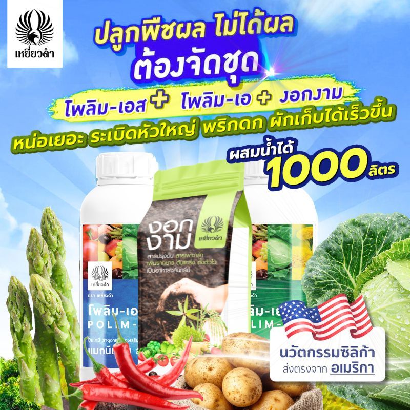 [ปุ๋ยน้ำ3พลัง] สุดยอดปุ๋ยทำใบทุเรียน มันสำปะหลัง หน่อไม้ฝรั่ง พริก ผักใบเก็บได้ไวขึ้น ชึดฉีดพ่นที่ดินและใบ ปุ๋ยเหยี่ยวดำ
