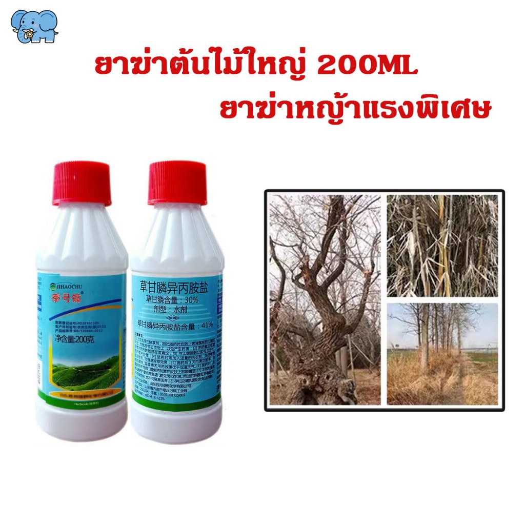 ยาฆ่าตอต้นไม้ 200ml ยาฆ่าต้นไม้ใหญ่ ยาฆ่าต้นไม้ ยาฆ่าไม้ไผ่ เข้มข้นสุด ตรงไปที่ราก รากเน่ารากตาย ยาฆ่ากอไ 1 หยดรากเน่า