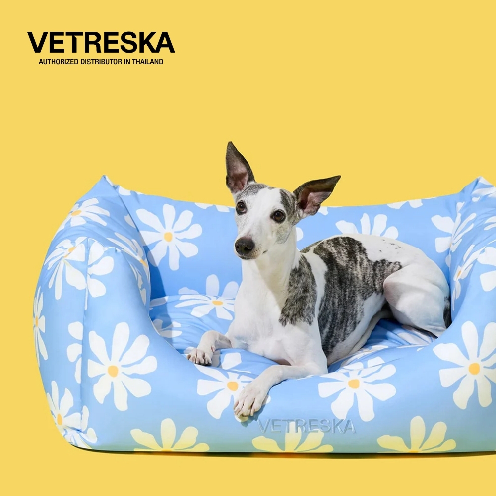 VETRESKA  ที่นอน เบาะนอนสัตว์เลี้ยง DAISY PET SOFA