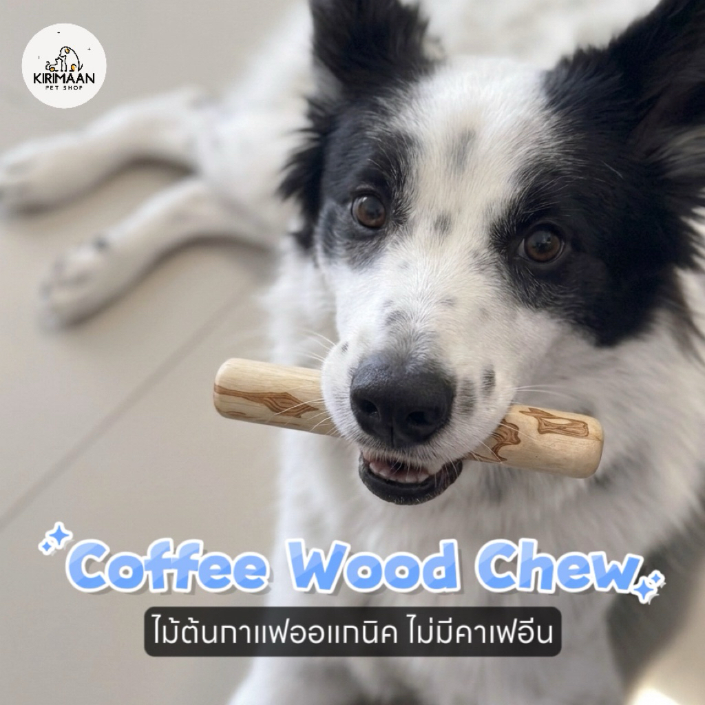 ไม้ต้นกาแฟสำหรับสุนัข Coffee Wood Chew