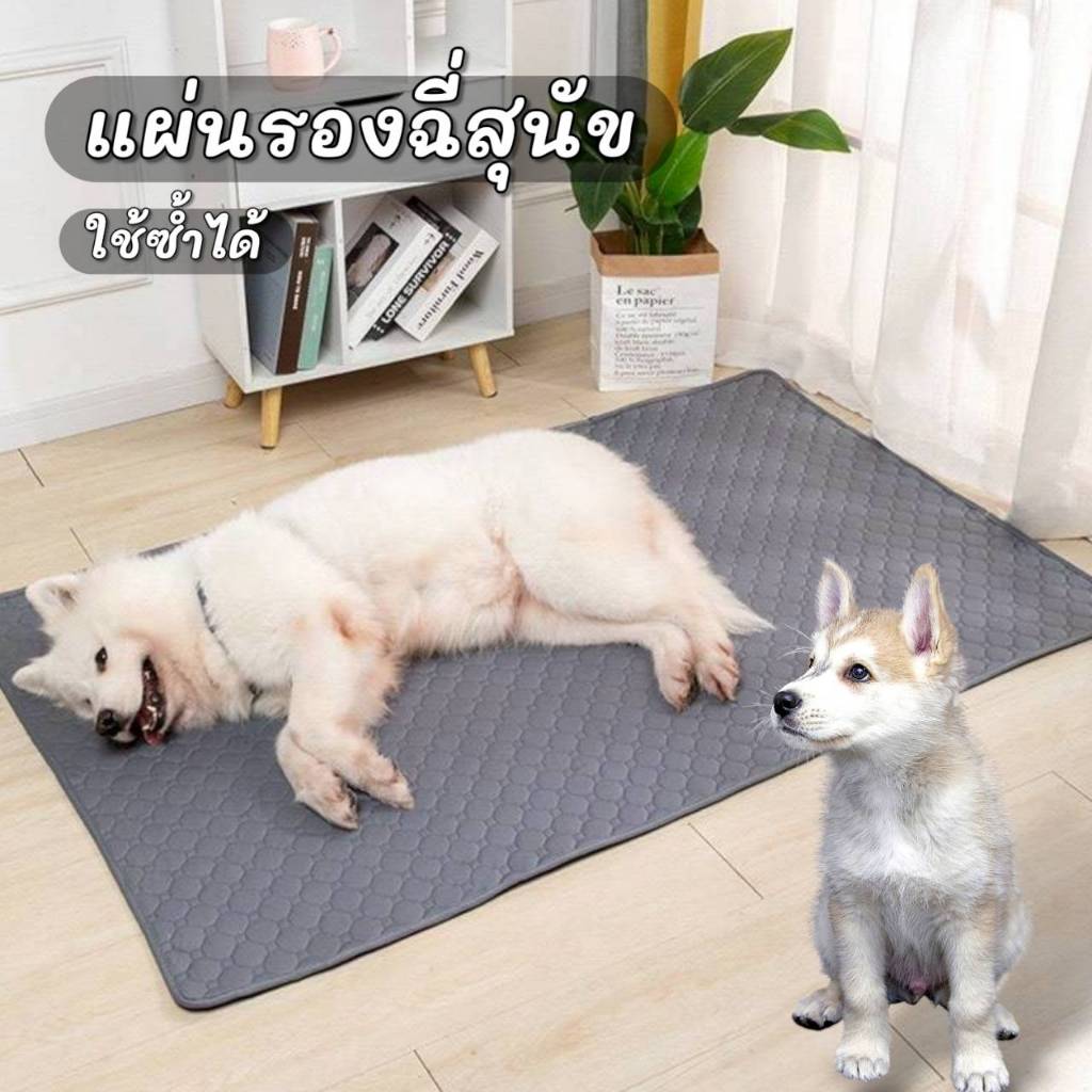 แผ่นรองฉี่หมา ใช้ซ้ำได้ ซึมซับได้ดีมีหลายขนาดให้เลือก ซักทำความสะอาดง่าย