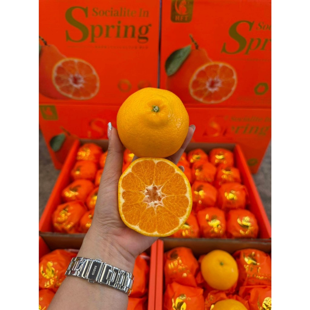 ส่งด่วน กทม. 4 ชม. ส้มจุกเดโกปอง ส้มจุก สายพันธุ์ญี่ปุ่น ตรานกแก้ว HFT 4.5 kg.รวม หวานฉ่ำ ไร้เม็ด ผลไม้นำเข้า