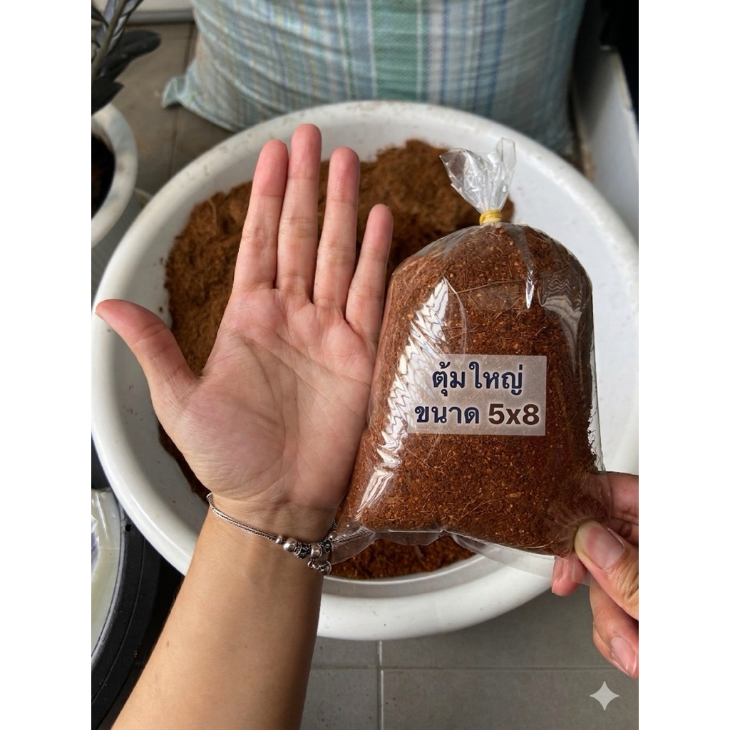 🌱ตุ้มตอนกิ่งพันธุ์ "จับโบ้" 🌱(ขนาด5x8นิ้ว) 🔥ใหญ่ 🔥สะใจ 🔥รากไปไวแน่นอน!!! 1 ชุด มี 10 ตุ้ม พร้อมใช้งาน!!!