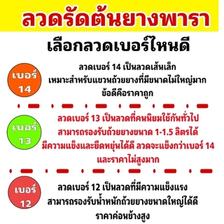 ลวดรัดต้นยางพารา ลวดหยักฟันปลาเบอร์ 12/13/14 มีทั้งความยาวปกติและความยาวพิเศษให้เลือก (มัดละ 100 เส้น)รับน้ำหนักได้ดี
