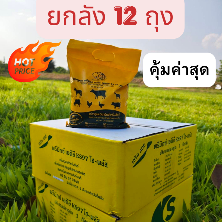ยกลัง 12 ถุง คุ้มสุด แร่ธาตุและวิตามิน  Premix ADE สำหรับสัตว์