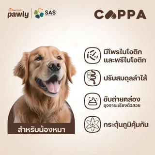 Pawly Cappa (สำหรับสุนัข) ดูแลลำไส้ เสริมภูมิ ขับถ่ายดี ลดกลิ่นมูล - [1แผง - 10แคปซูล]