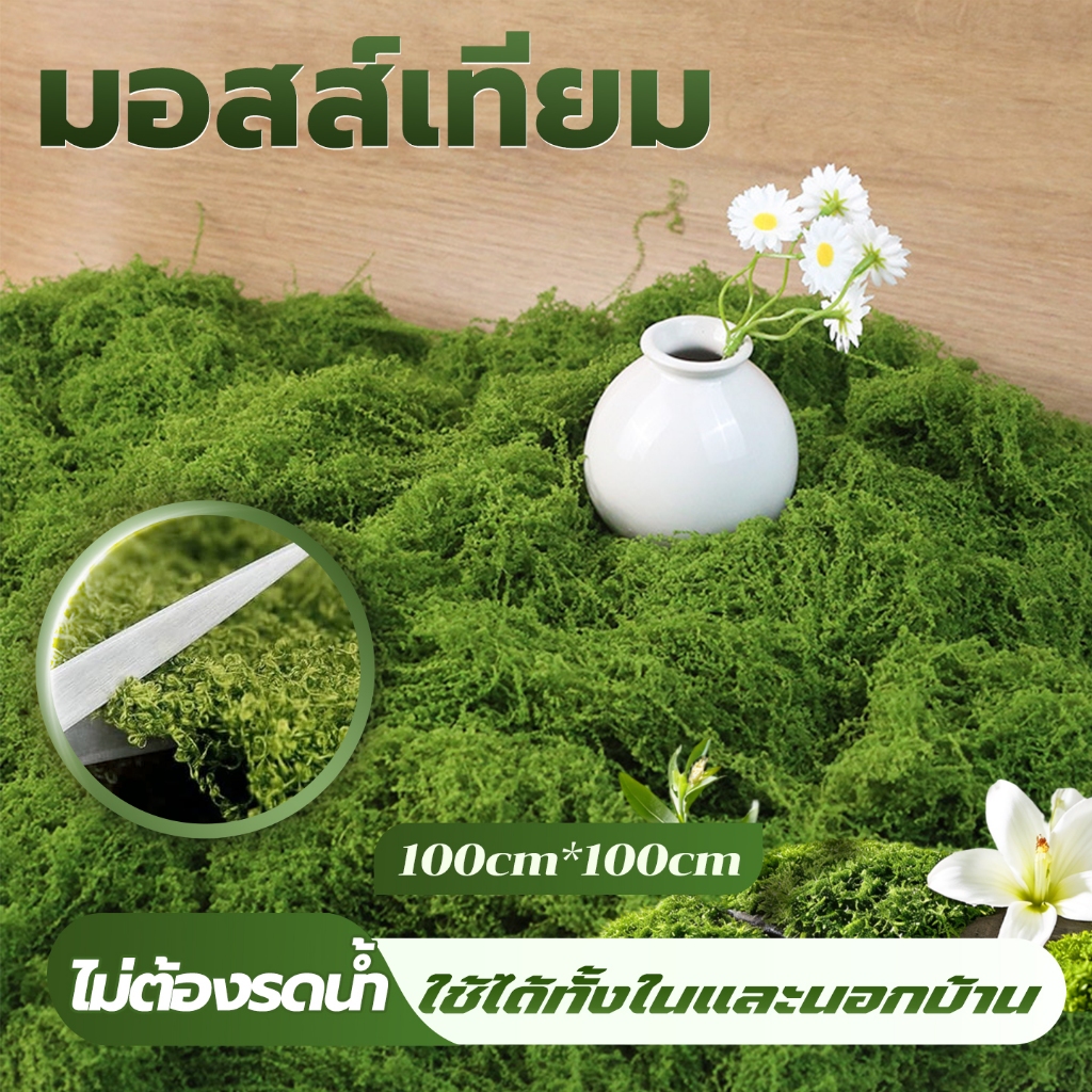 แผ่นหญ้ามอสเทียม เหมือนจริง 100% สีเขียวสด ใช้งานได้นาน ทนแดด ทนฝน เหมาะตกแต่งสวน ผนังบ้าน และถ่ายภาพ