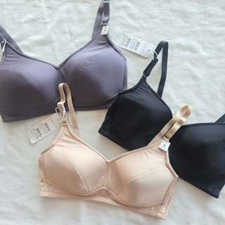 Sabina HBO24019 เสื้อชั้นในไน้โครง เก็บทรง ผ้านุ่ม ใส่สบาย