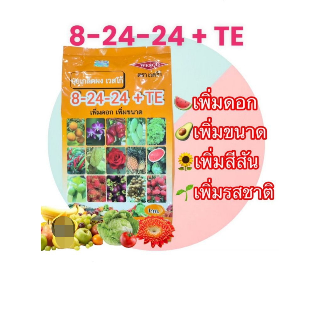 ปุ๋ยหวาน ปุ๋ยเกล็ดผงเวสโก้ 8-24-24+TE ละลายน้ำง่าย ใช้งานสะดวก ขนาด 1 กิโลกรัม