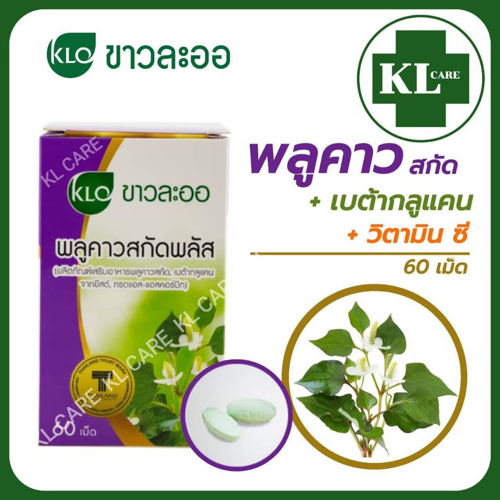 พลูคาวสกัด เบต้ากลูแคน สริมภูมิคุ้มกัน แก้น้ำเหลืองเสีย ผิวหนังอักเสบ เริม ขาวละออ Khaolaor 60 เม็ด