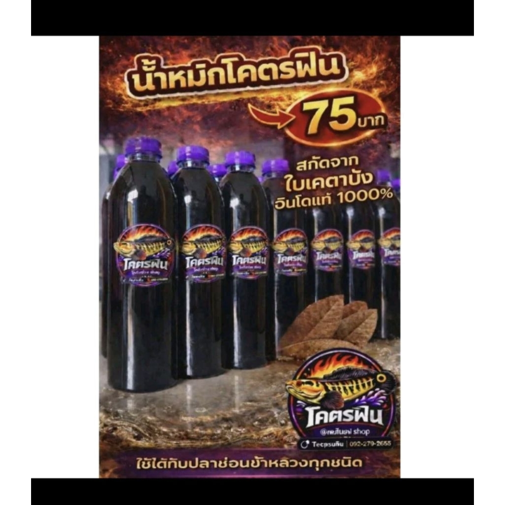 น้ำหมักโคตรฟิน ใบเคตาปังแท้100% +วิตามินและแร่ธาตุ 1ขวด ขนาด600ml. แถมฟรีสติ๊กเกอร์โคตรฟินทุกขวด