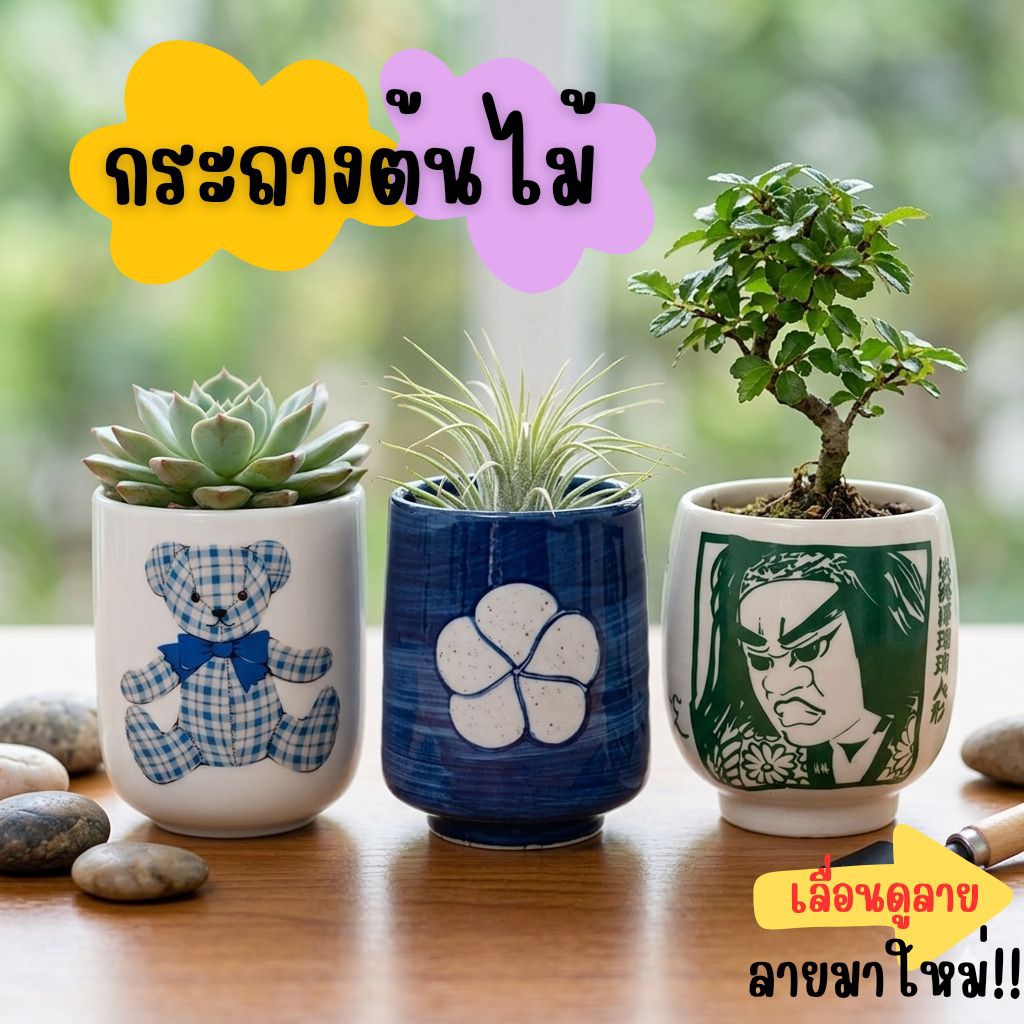 กระถางเซรามิกญี่ปุ่นมือสอง มาใหม่ กระบองเพชร stock E