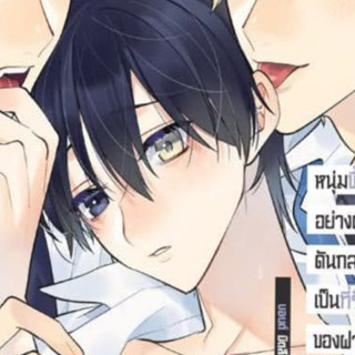 หนุ่มขี้อายอย่างผมดันกลายเป็นที่รักของฝาแฝดไปซะได้ เล่ม 1-3 …