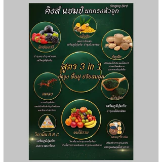คิงแชป์ อาหารนกกรงหัวจุกสูตรพรีเมี่ยม ถุงละ 500 กรัม