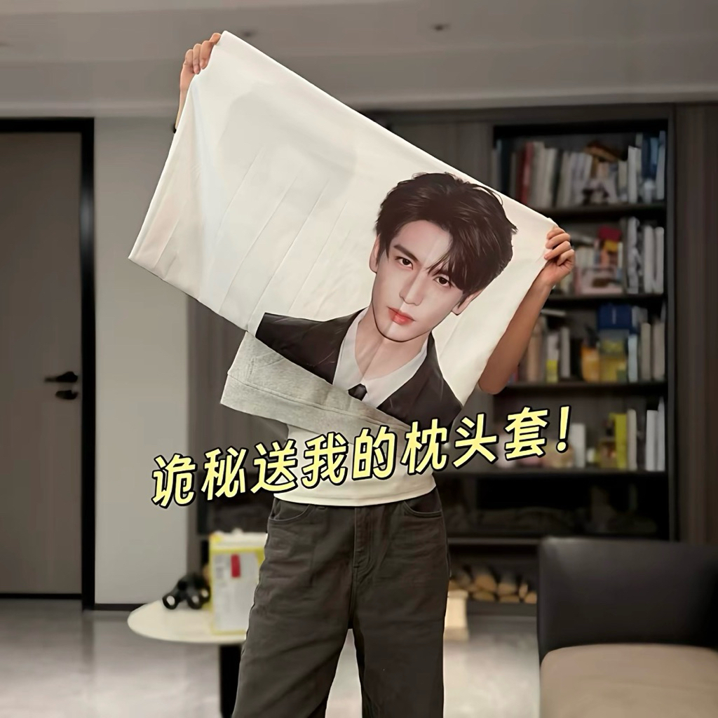 [pre-รอสินค้า 30 วัน ] ปลอกหมอน/หมอน_จางหลิงเฮ่อ #Zhanglinghe #ล่าหยก