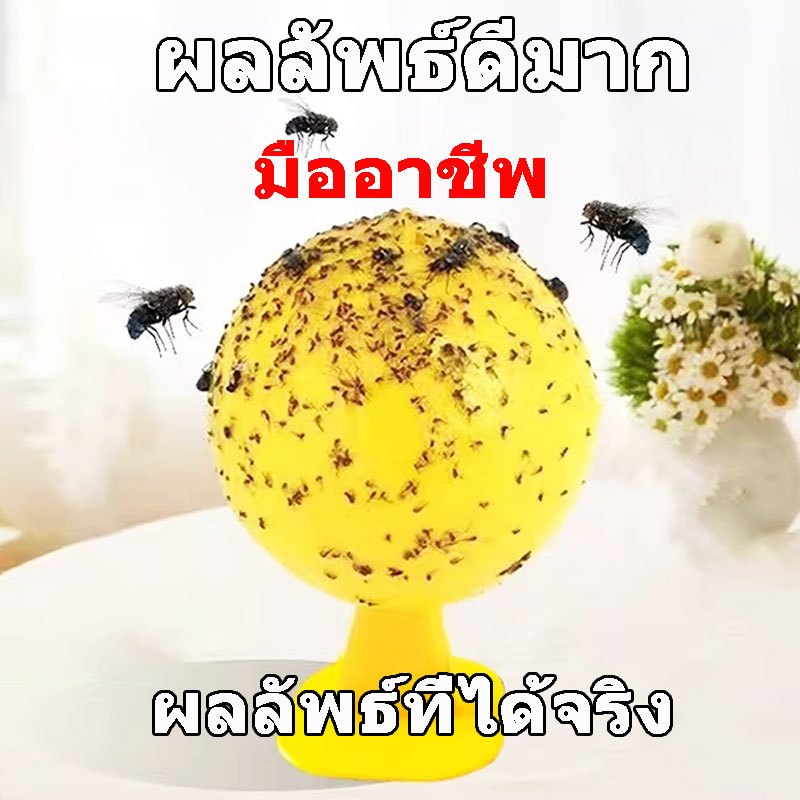 5 ชิ้น จัดส่งเร็ว จับแมลงวัน จับแมลงวันผลไม้ Catch Fly การจับแมลง