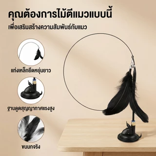 PETLUSCI ไม้ล่อแมว แบบติดพื้นสุญญากาศ มีกระดิ่งล่อความสนใจ สนุกไม่รู้จบ แมวเล่นต่อเนื่อง Cat Teaser