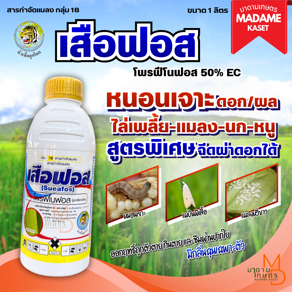 เสือฟอส สูตรพิเศษ (โพรฟีโนฟอส50%EC) 1 ลิตร ออกฤทธิ์แบบสัมผัส และแทรกซึม หนอน เพลี้ย แมลงบิน กลิ่นฉุน ไล่นก-หนู