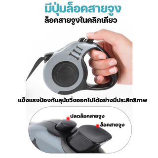 Domdompet สายจูงอัตโนมัติเเบบยืดหดได้ สายจูงสัตว์เลี้ยง 3เเละ5เมตร พกพาสะดวก