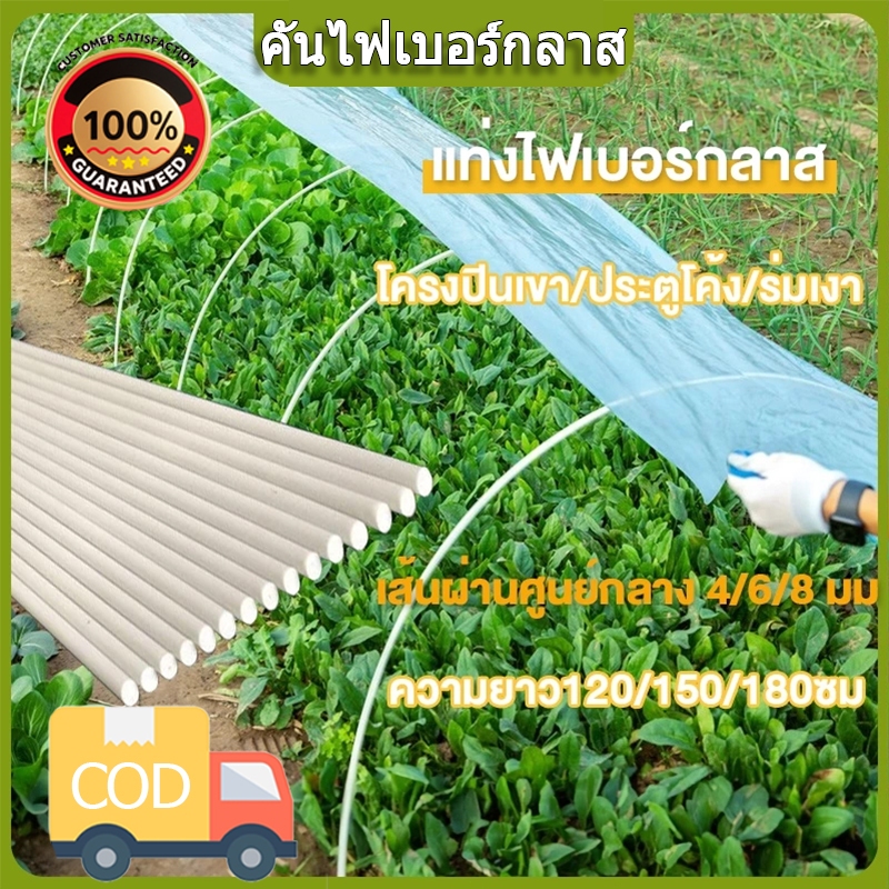 แพ็คละ 20ชิ้น เส้นผ่านศูนย์กลาง 4/6/8 มม.GLASS FIBER TUBE (แท่งกลมตัน) มีให้เลือกหลายขนาด ไม้ค้ำต้นไม้ หลักไม้เลื้อย เส