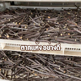 ไม้แอปเปิ้ล Apple Stick 500g ขนมลับฟัน ธรรมชาติ สำหรับ กระต่าย หนูแฮมเตอร์ และสัตว์ฟันแทะอื่น