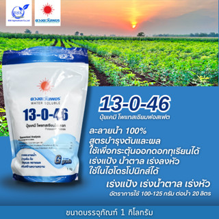 ปุ๋ยเกล็ด 13-0-46 (แบรนด์) 1kg (ดวงตะวันเพชร)