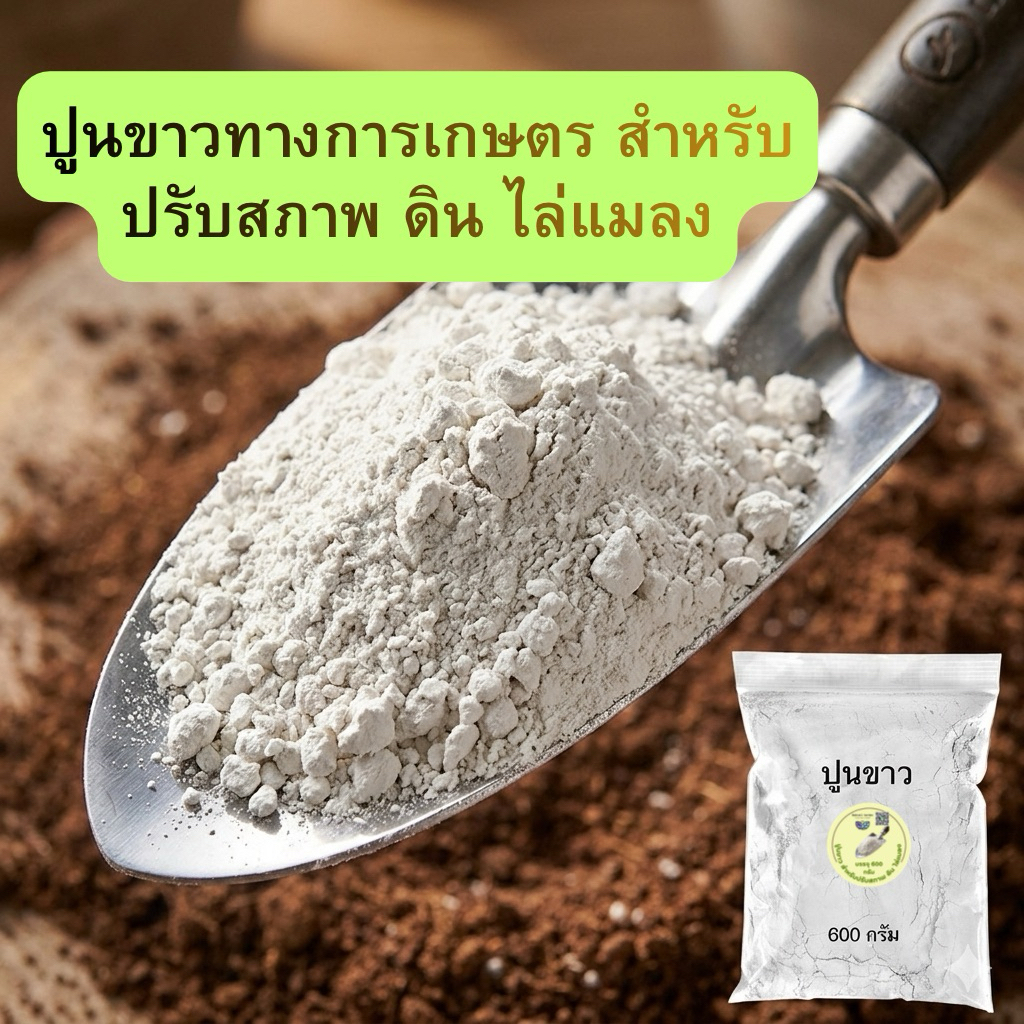 ปูนขาว สำหรับปรับสภาพ ดิน ไล่แมลง และหอยทาก แบ่งขาย บรรจุถุงซิป