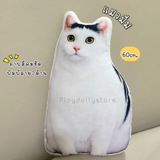🌈ตุ๊กตาหมอนพิมพ์ลายแมว หมอนแมวเหมียว ภาพสีคมชัด พิมพ์ลาย2ด้าน ขนาด 50cm./60cm. มีหลายลายให้เลือกเลื่อนดูได้เลยค่า💗