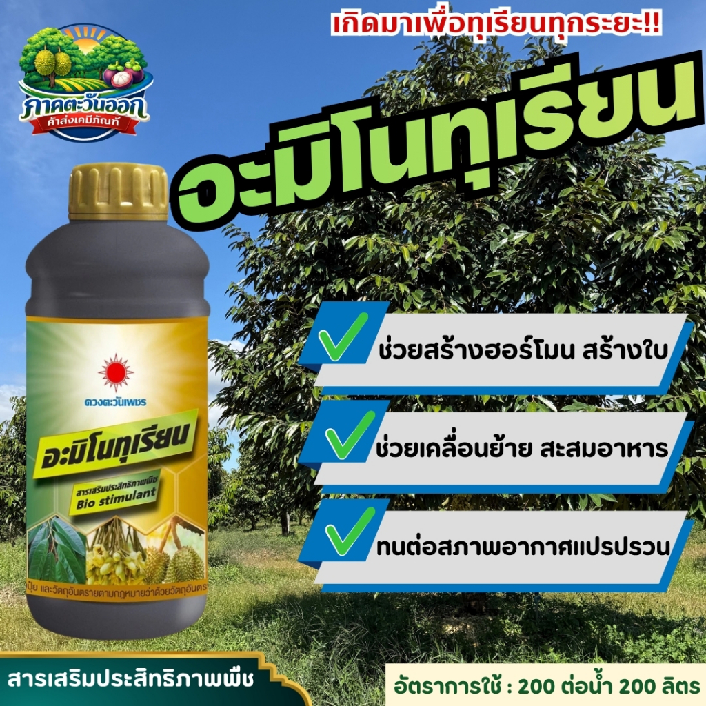 อะมิโนทุเรียน สำหรับทุเรียนโดยเฉพาะ เข้มข้นสูง แอลอะมิโนแท้ ขนาด 1 ลิตร ดวงตะวันเพชร ดูดซึมไปใช้ได้ไว ช่วยพืชทนสภาพอากาศ