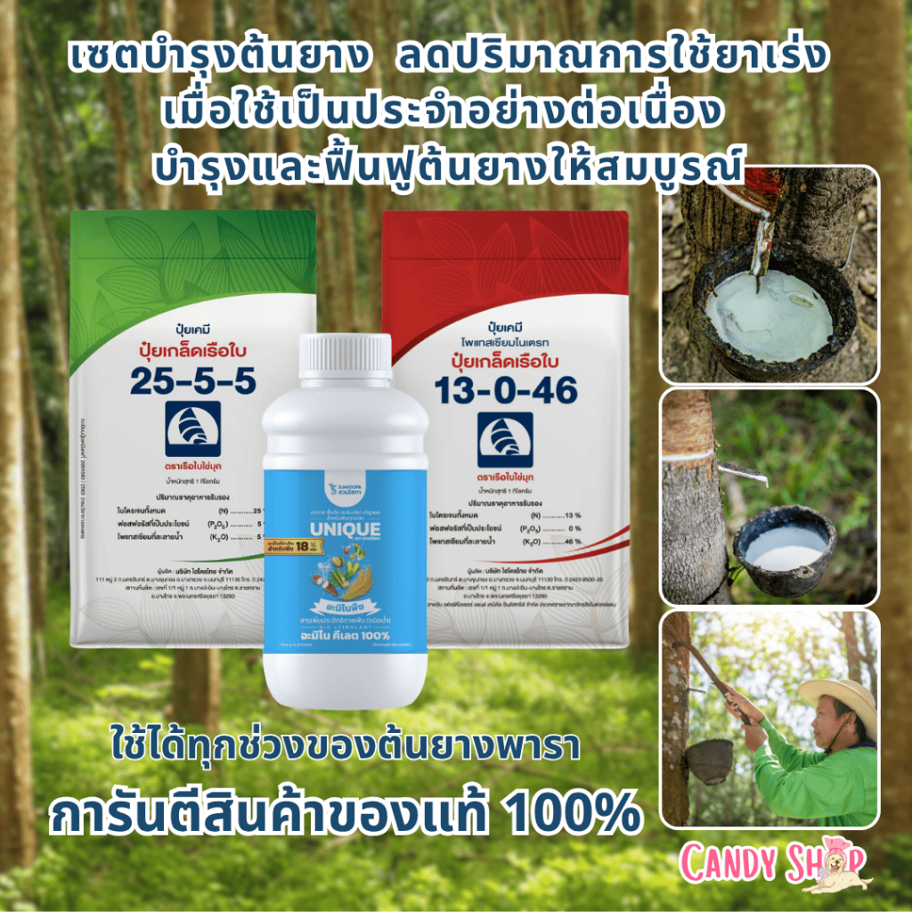 เซตบำรุงต้นยาง  ลดปริมาณการใช้ยาเร่ง เมื่อใช้เป็นประจำอย่างต่อเนื่อง บำรุงและฟื้นฟูต้นยางให้สมบูรณ์