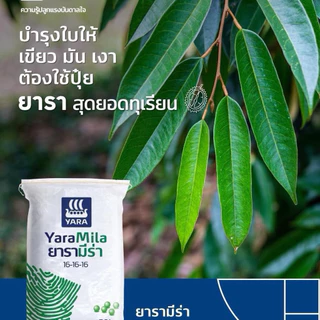 ปุ๋ย16-16-16 ยารามีร่า *แบ่งขาย 10โล* ปุ๋ยสูตรเสมอ ใช้ได้กับพืชทุกช่วงทุกชนิด