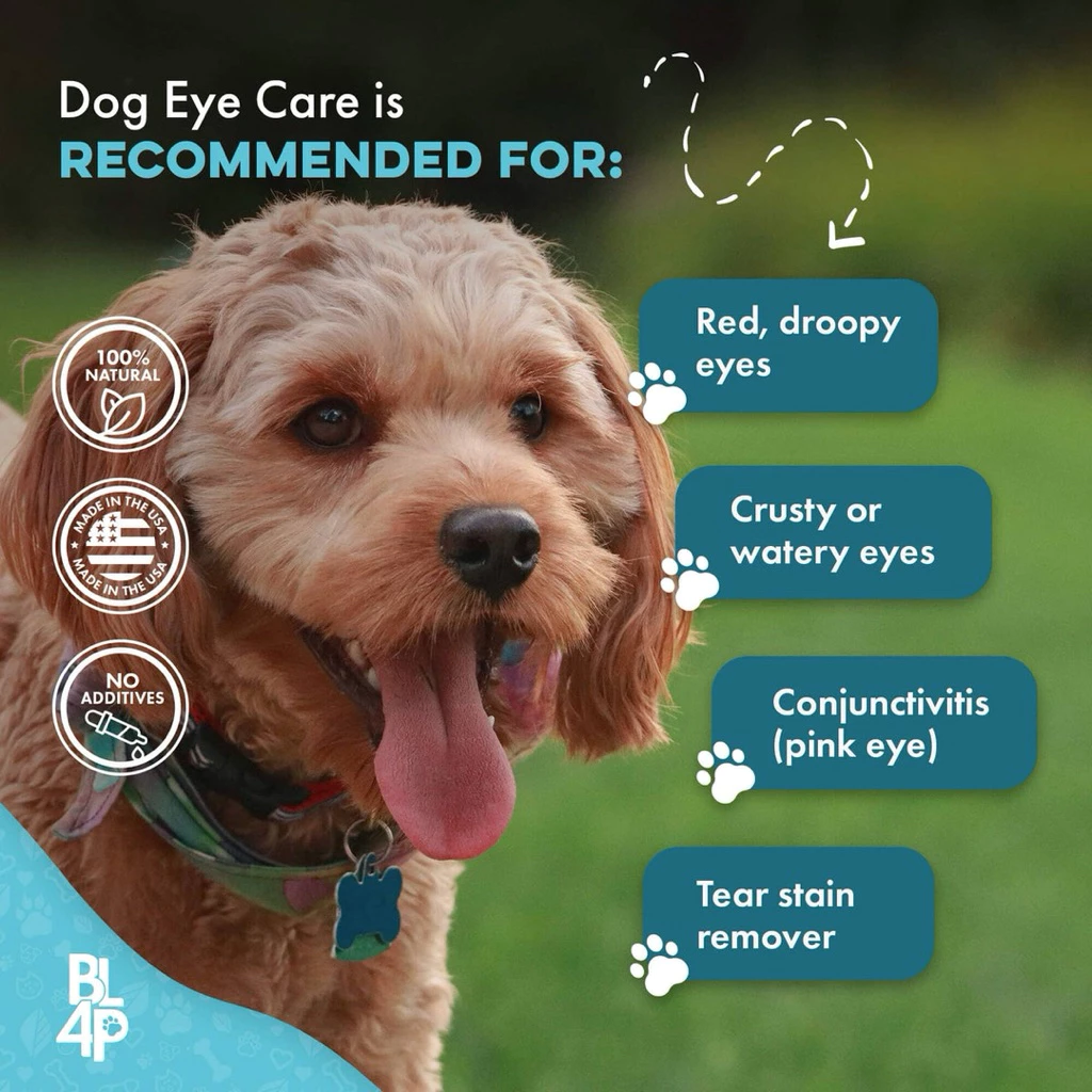 วิตามิน Eye Care & Vision Support อาหารเสริมหมา อาหารเสริมแมว บำรุงสายตา บำรุงดวงตา thumbnail 8