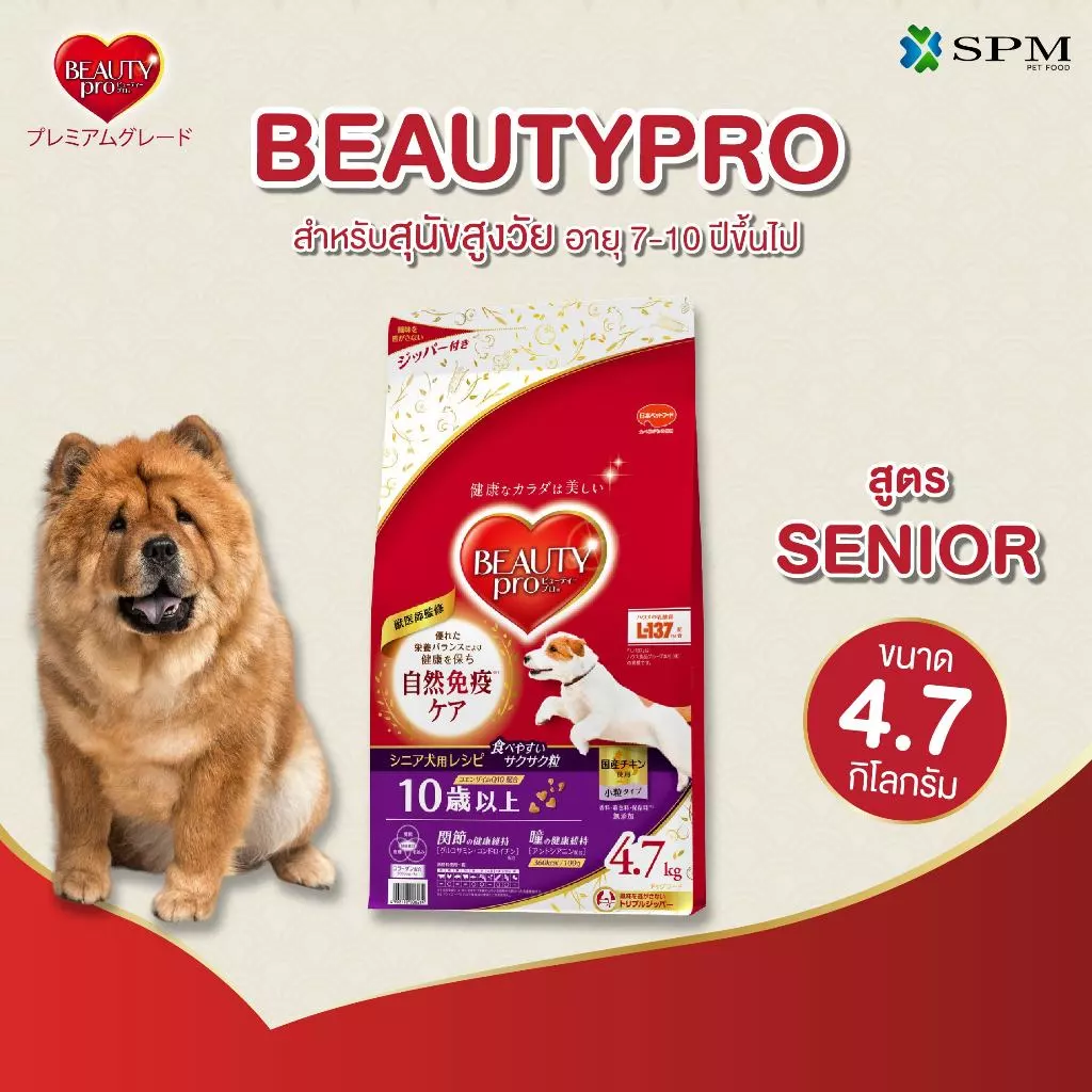 BeautyPro อาหารเม็ดสุนัขพรีเมียม สูตร Senior สูงวัยอายุ 7-10 ปี+ ขนาด 4.7 Kg. ปรับสมดุลทางเดินอาหาร