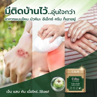 มาดามหลุยส์ บัวหิมะ EX ครีม