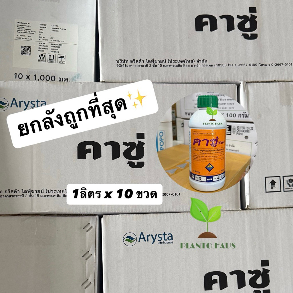 ยกลัง 10 ขวด คาซู่ อริสต้า คาซูกาไมซิน ผลิตใหม่ 4/68 กำจัดโรคไหม้ในข้าว เชื้อรา แบคทีเรีย 1ลิตร ราคา ถูกที่สุด ดีลบีเคเค