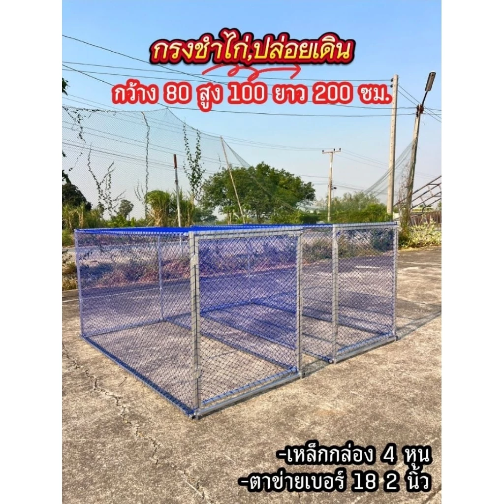 (สินค้าเหล็กกล่อง)กรงชำไก่ชน,ปล่อยเดินได้ 80 * 100 * 200 cm thumbnail 6