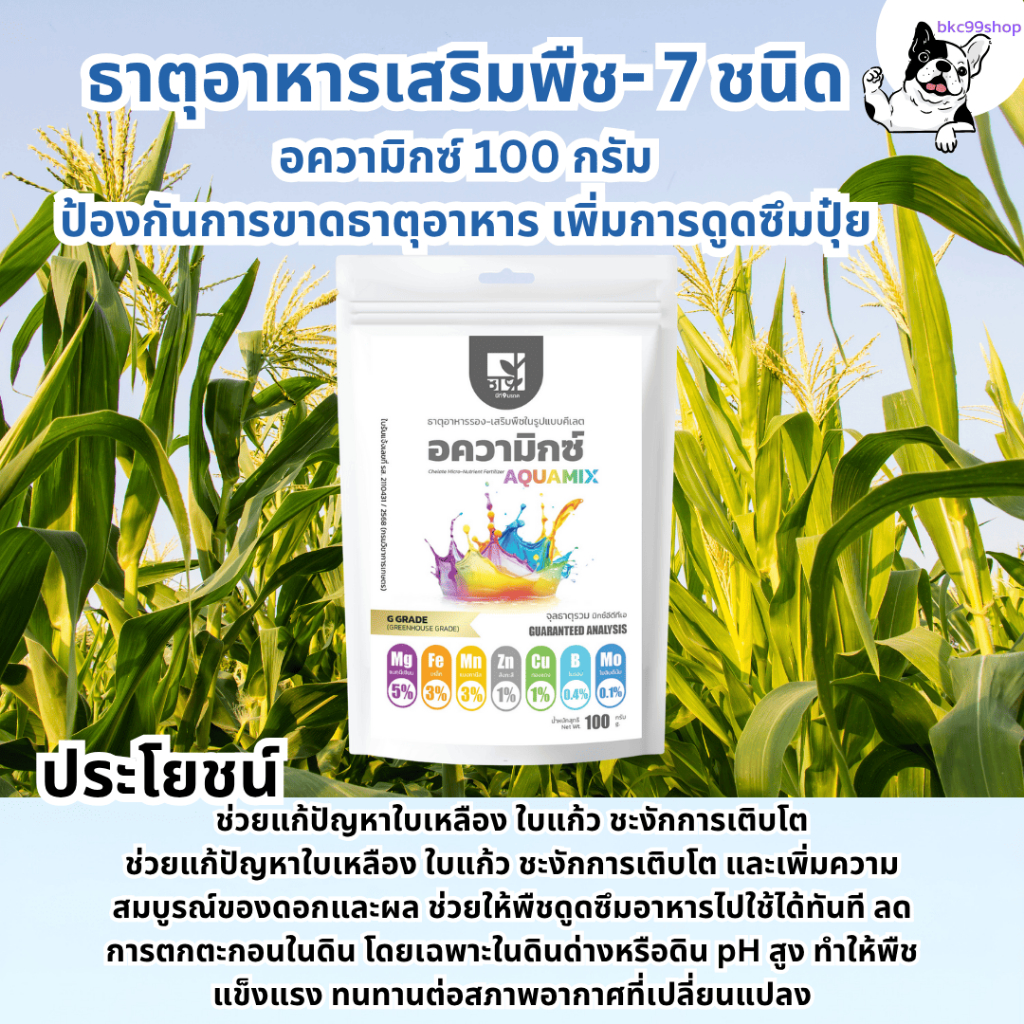AQUAMIX อความิกซ์ ขนาด 100 กรัม ใบเหลืองซีด ใบหงิกงอ ต้นโทรม ยอดไม่เดิน ต้นแคระแกรน พืชไม่กินปุ๋ย? BKSGมuทางออกให้