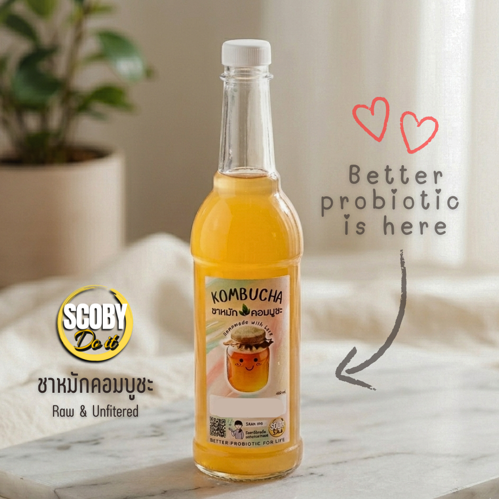 KOMBUCHA เครื่องดื่ม ชาหมักคอมบูชะ  ขนาด 750 ml. - Raw fermented homemade